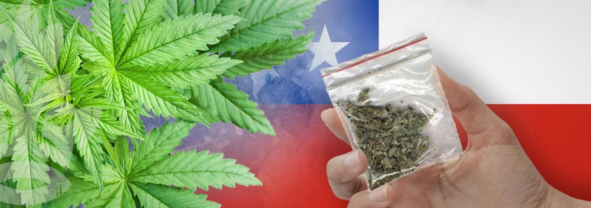 Weed-Friendly Countries: Chile
